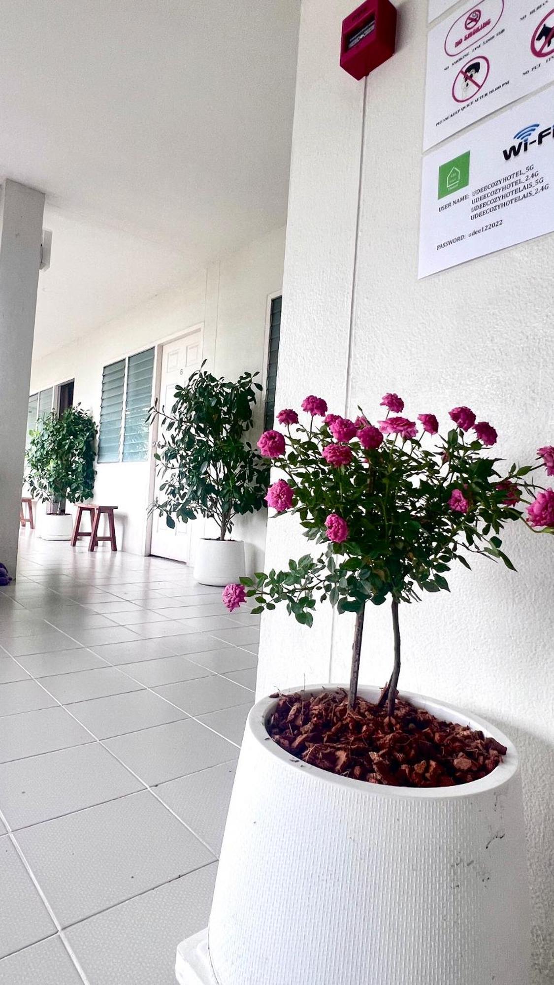 Udee Cozy Hotel Chiang Mai Buitenkant foto